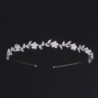 CabelloLujosa tiara - diadema de cristal - flores / hojas