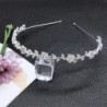 CabelloLujosa tiara - diadema de cristal - flores / hojas