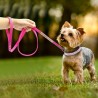 Leather leash - with rhinestones - for dogs / catsCollars & Leads