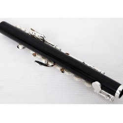 Instrumento MusicalMORESKY - mini flautín - flauta en llave C - cuproníquel - plateado