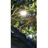 Multifunctional camping light - waterproof lamp - lantern - with remote - LED - USB - rechargeableOutdoor & Camping