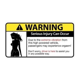 Funny car sticker - "Sexy Girl Warning Serious Injury Can Occur"Stickers