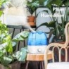 HumidificadoresHumidificador de aire ultrasónico - 360 grados ajustable - 2,6 L