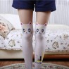 Nylon knee socks - cat designClothing