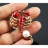 BrochesBroche de esmalte - escorpión con perla