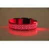 LED dog collar - safety night walk - colorful leopard printCollars & Leads