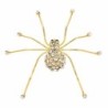 BrochesAraña de cristal dorado - broche