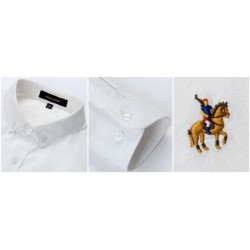CamisetasCamisa clásica de algodón de manga larga - liso / rayas - logo bordado