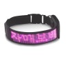 Collares & correasCollar para gatos / perros - LED - Bluetooth - luz de desplazamiento interactiva digital