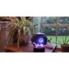 HumidificadoresHumidificador ultrasónico de aire - difusor de aceites esenciales - forma de luna - LED