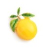BrochesEsmalte amarillo limón - broche