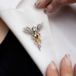 Tooth / wings / crystal - dentist broochBrooches
