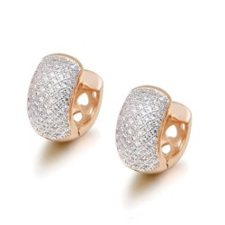 Elegant small hoop earrings - full zirconEarrings