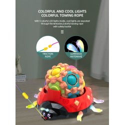 Ladybird - magic massage cube - sensory / spinning toy - LEDFidget Spinner