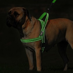 Collares & CorreasArnés para perros de nylon reflectante - chaleco - ajuste rápido