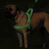 Reflective nylon dog harness - vest - quick fitCollars & Leads