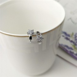 Crystal snowflake - small round silver earringsEarrings