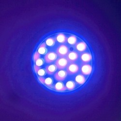 Luces de cultivoBombilla para cultivo de plantas - 20 LED - Luz UV - E27 - 1W
