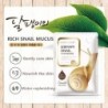 PielMascarilla facial de esencia de caracol - hidratante - control de aceite - tratamiento del acné - 5 piezas