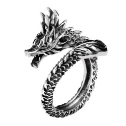 Dragon shaped silver ringRings