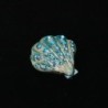 Crystal shell - elegant broochBrooches