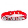 Collares & CorreasCollar para perros/gatos - con nombre de cristal y charm - personalizado