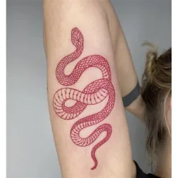 PegatinasTatuaje temporal - pegatina - serpiente roja