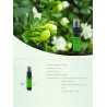 PerfumeFragancia Gardenia - spray corporal - perfume - 10 ml