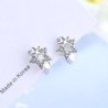 Silver earrings with a double star / crystalsEarrings