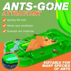 Control de insectosCebo anti hormigas - polvo asesino