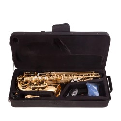 SaxofónSaxofón profesional - llave-Mib alto - con estuche / accesorios