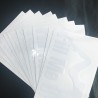 PegatinasLléname - pegatina de vinilo para coche 12 * 18 cm