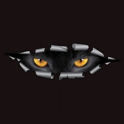 Pegatinas3D ojos de gato pareado - pegatina de coche vinilo - impermeable