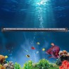 Aquarium / fish tank - air bubble lamp - RGB - remote - LED bar lightAquarium