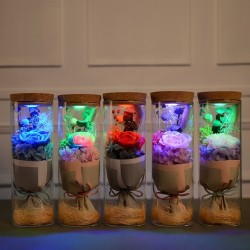 NavidadRamo de rosas de infinito en un jarrón de vidrio con luz LED