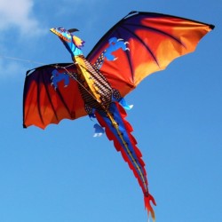 3D dragon kite with tail & line 100mKites