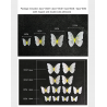 3D butterfly - wall sticker with magnet 12 piecesWall stickers