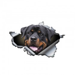 Pegatinas3D Rottweiler - pegatina de vinilo coche - 13 * 8.4cm