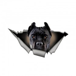 PegatinasPerro negro - pegatina de coche vinilo - impermeable 13 * 7.6cm