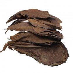 Natural terminalia leaves for aquarium water balance 10 piecesAquarium