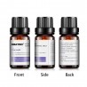 Humidificadores10ml * 6 - Aceites esenciales para humidificador - lavanda - árbol de té - lemongras - romero - naranja - ment...